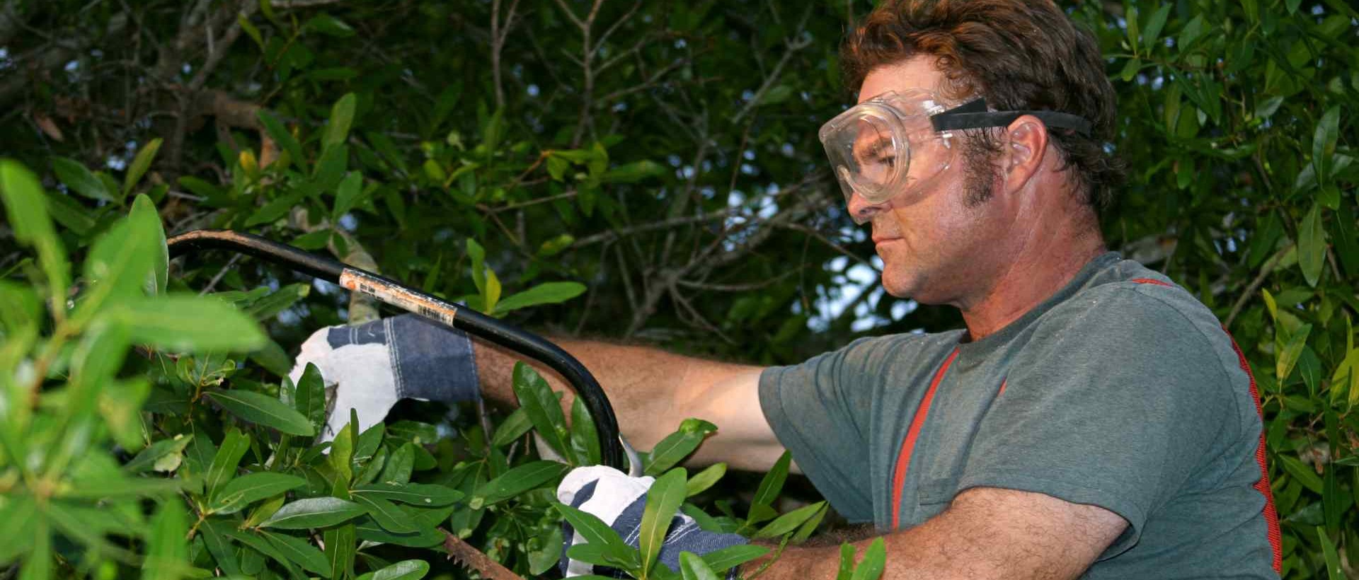 garden clearance DA3