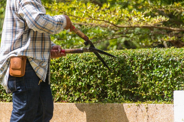 Garden Maintenance Longfield, Hartley, New Ash Green, DA3